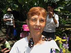 016 Butterfly Sanctuary